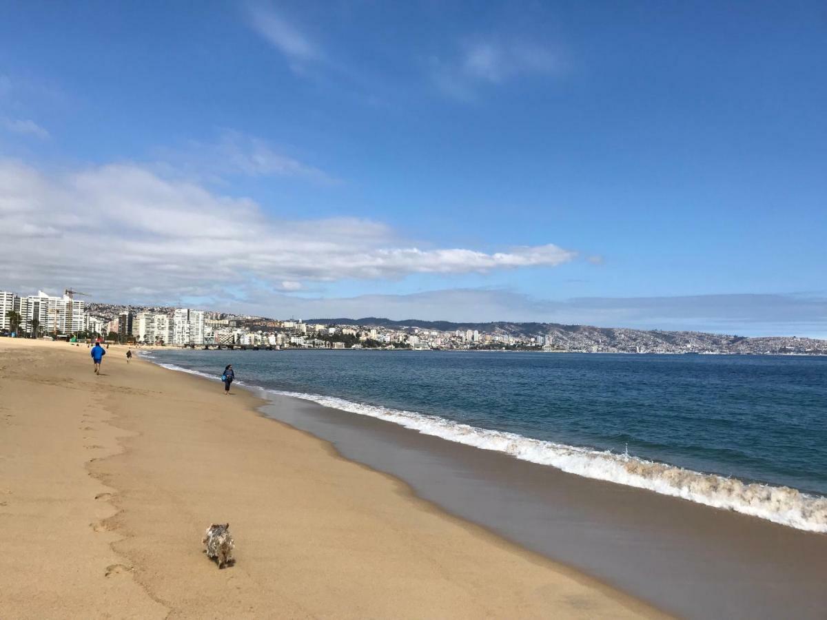 Depa Torre Juan Fernandez Vina del Mar